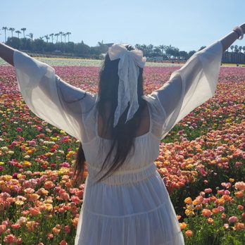 The Flower Fields - Beautiful shot with the flowers - Venues & Event Spaces Near Me - Carlsbad, California The Flower Fields - Beautiful shot with the flowers - Venues & Event Spaces Near Me - Carlsbad, California