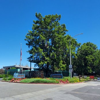 Riding The Currents - Regional Water Quality Control Plant and Household Hazardous Waste Station - Public Art Near Me - Palo Alto, California Riding The Currents - Regional Water Quality Control Plant and Household Hazardous Waste Station - Public Art Near Me - Palo Alto, California