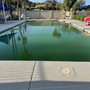 Orange Leaf Pool Care