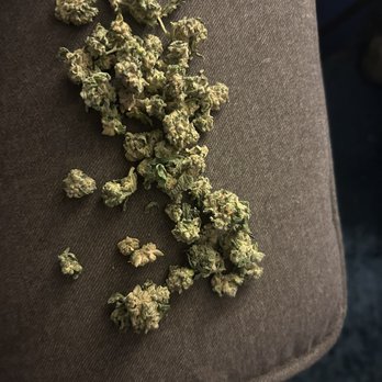 RISE Dispensary Henderson - Shine- afternoon delight - Cannabis Dispensaries Near Me - Henderson, Nevada