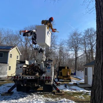 D&B Diversified Services - Tree Services Near Me D&B Diversified Services - Tree Services Near Me