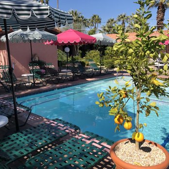 Les Cactus - Courtyard - Hotels Near Me - Palm Springs, California