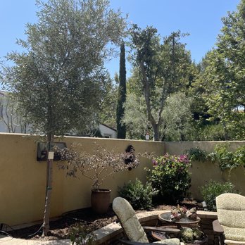 Moon Valley Nurseries - Tree Services Near Me - Irvine, California Moon Valley Nurseries - Tree Services Near Me - Irvine, California