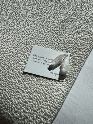 Shou Sugi Ban House by null