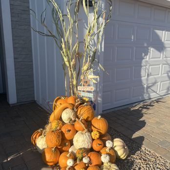 Summerlin Pumpkin Pros - Holiday Decorating Services Near Me - Las Vegas, Nevada Summerlin Pumpkin Pros - Holiday Decorating Services Near Me - Las Vegas, Nevada