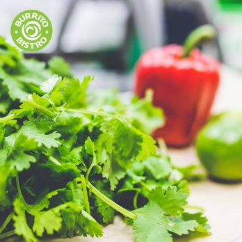 Burrito Bistro - a bunch of cilantro on a cutting board - Juice Bars & Smoothies Near Me - Mashpee, Massachusetts Burrito Bistro - a bunch of cilantro on a cutting board - Juice Bars & Smoothies Near Me - Mashpee, Massachusetts
