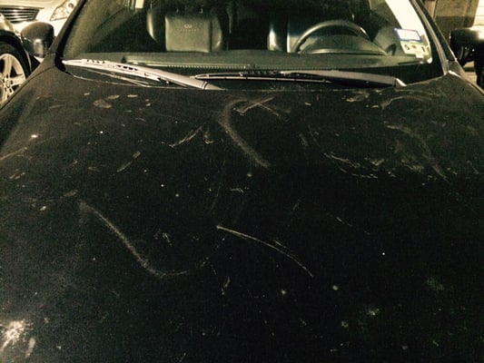 Dynamic Uptown Car Wash Image Art Dynamic Uptown Car Wash Image Art