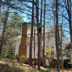 Hensley's property enhancements