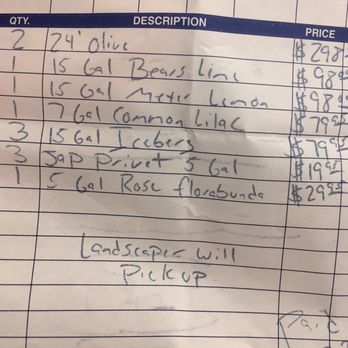 Moon Valley Nurseries - My receipt from Louie's. $1300 for all this. Would have been $1200 JUST for the 2 olive trees at Moon. Just sayin' ! - Nurseries & Gardening Near Me - Murrieta, California Moon Valley Nurseries - My receipt from Louie's. $1300 for all this. Would have been $1200 JUST for the 2 olive trees at Moon. Just sayin' ! - Nurseries & Gardening Near Me - Murrieta, California