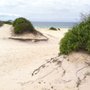 Photo of Bennetts Beach