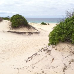 Bennetts Beach - Need to cross a wide dune field to get to the beach