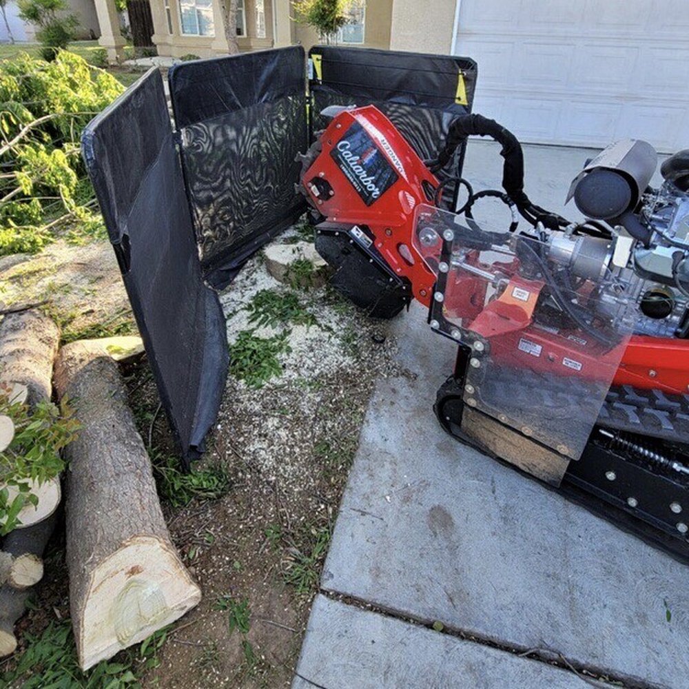 Caliarbor - Tree stump removal - Tree Services Near Me Caliarbor - Tree stump removal - Tree Services Near Me