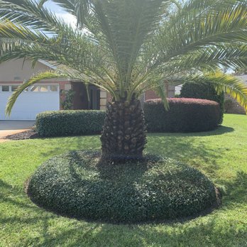 Landscape Enterprise - Palm - Tree Services Near Me Landscape Enterprise - Palm - Tree Services Near Me