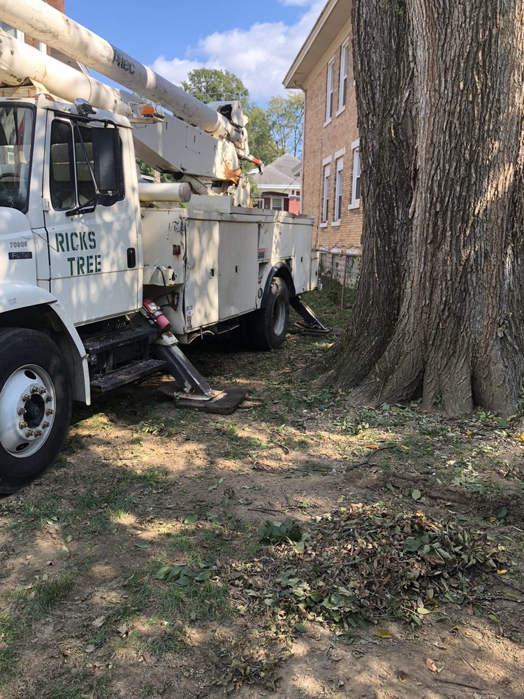 RICK’S TREE SERVICE - Updated February 2026 - 810 W Wyoming Ave ...