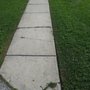 Photo of Brian Duffins Lawncare