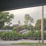 Pokey's Citrus Nursery