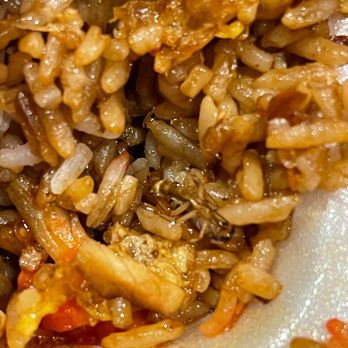 My Place - This rice had more then what was supposed to come with it - Chinese Near Me - Chicago, Illinois My Place - This rice had more then what was supposed to come with it - Chinese Near Me - Chicago, Illinois