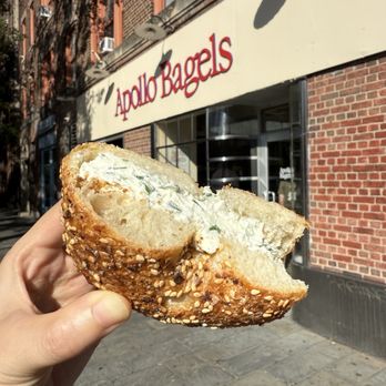 Apollo Bagels - Scallion Cream Cheese - Bagels Near Me - New York, New York