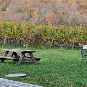 Cave Ridge Vineyard - Vineyard - Wineries Near Me - Mount Jackson, Virginia
