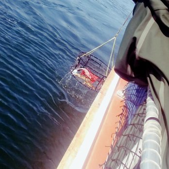 Marine Discovery Tours - Boating Near Me - Newport, Oregon