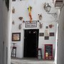 Photo of Alcaravan