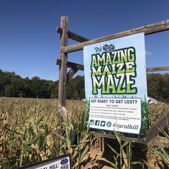 Amazing Maize Maze - Local Flavor Near Me - Huntersville, North Carolina