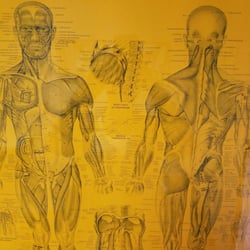 Reynoldsburg Chiropractic Center - Dr. Kohl is a great chiropractor. I couldn't live without him!