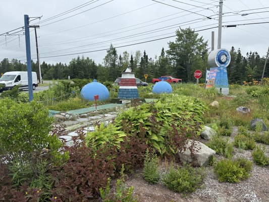 Wild Blueberry Land by null