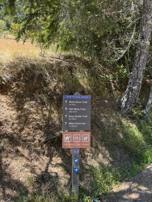 Mount Tamalpais State Park by null