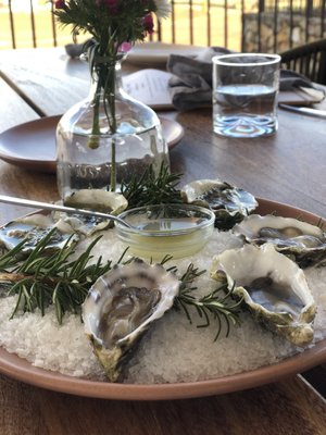 Envero en el Valle by null