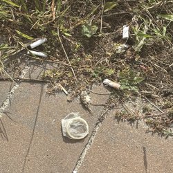 William Morrow Municipal Beach Park - There was a lot more than just this, but you can see tossed cigarettes from the moment you leave the car and further. And condoms. Gross!