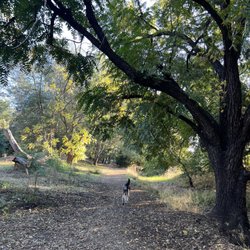 Shurtleff Park