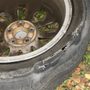 Sams Tires