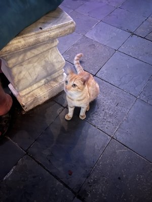 La Estación by null