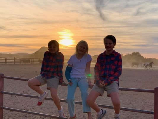 White Stallion Ranch by null