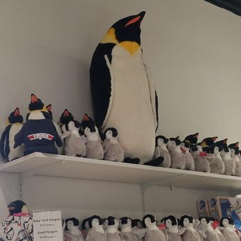 Annapolis Ice Cream - Penguins! - Ice Cream & Frozen Yogurt Near Me - Annapolis, Maryland