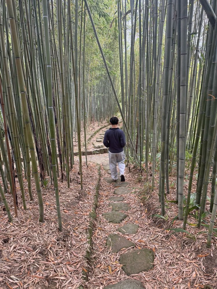 Private Tour Concierge for Kyoto, Nara, Osaka, Kobe & All Japan