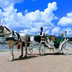 Plantation Carriage