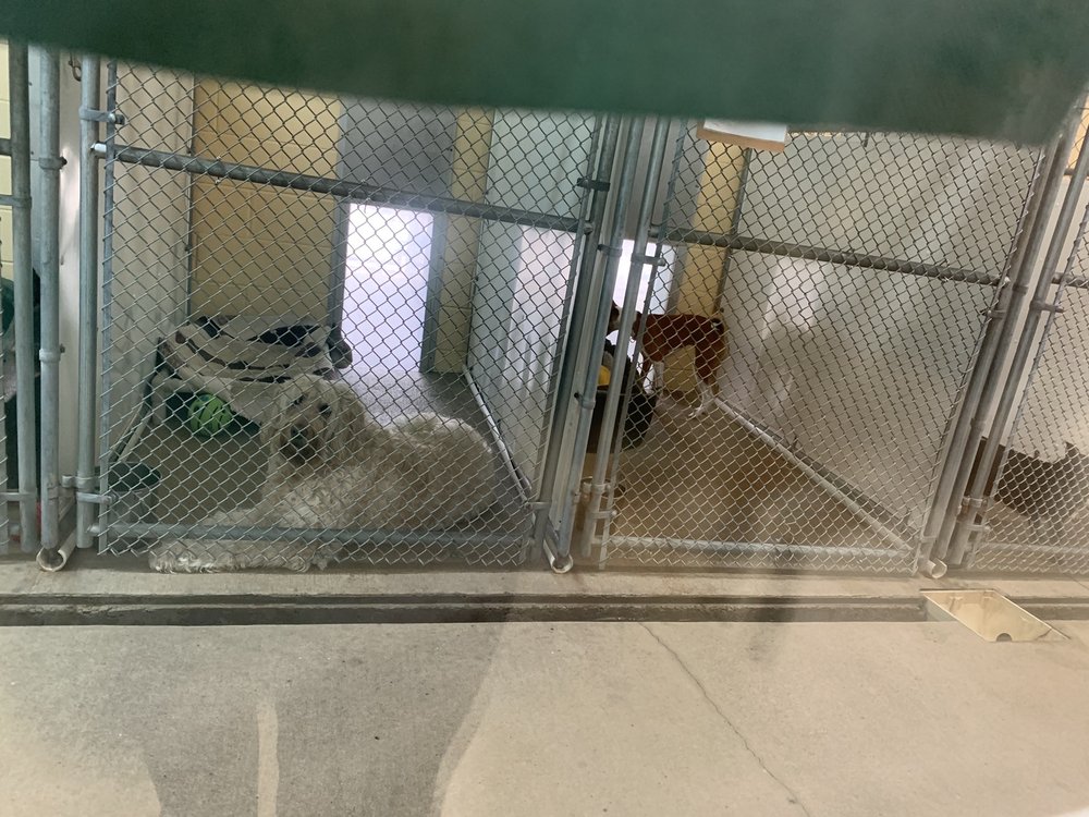 KING OF HEARTS, LLCDBA PINE RIDGE PET RESORT Updated September 2024 3942 N State Road 9