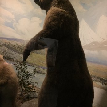 Field Museum - Museums Near Me - Chicago, Illinois Field Museum - Museums Near Me - Chicago, Illinois