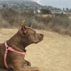 Paseo Miramar Trail