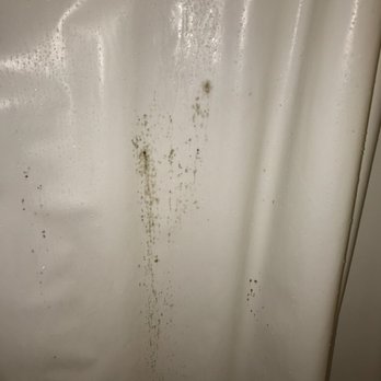Malaga Inn - Scum, mold and slime - Hotels Near Me - Mobile, Alabama