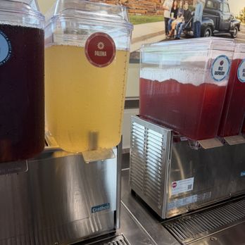 HTeaO - New Limited time Paloma Tea - Coffee & Tea Near Me - Oklahoma City, Oklahoma HTeaO - New Limited time Paloma Tea - Coffee & Tea Near Me - Oklahoma City, Oklahoma