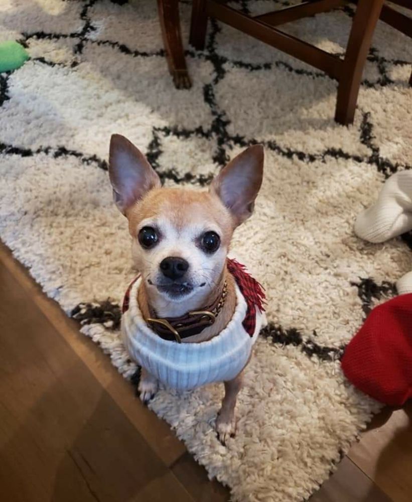 ALDER CREEK VETERINARY Updated September 2024 75 Reviews 209 SE