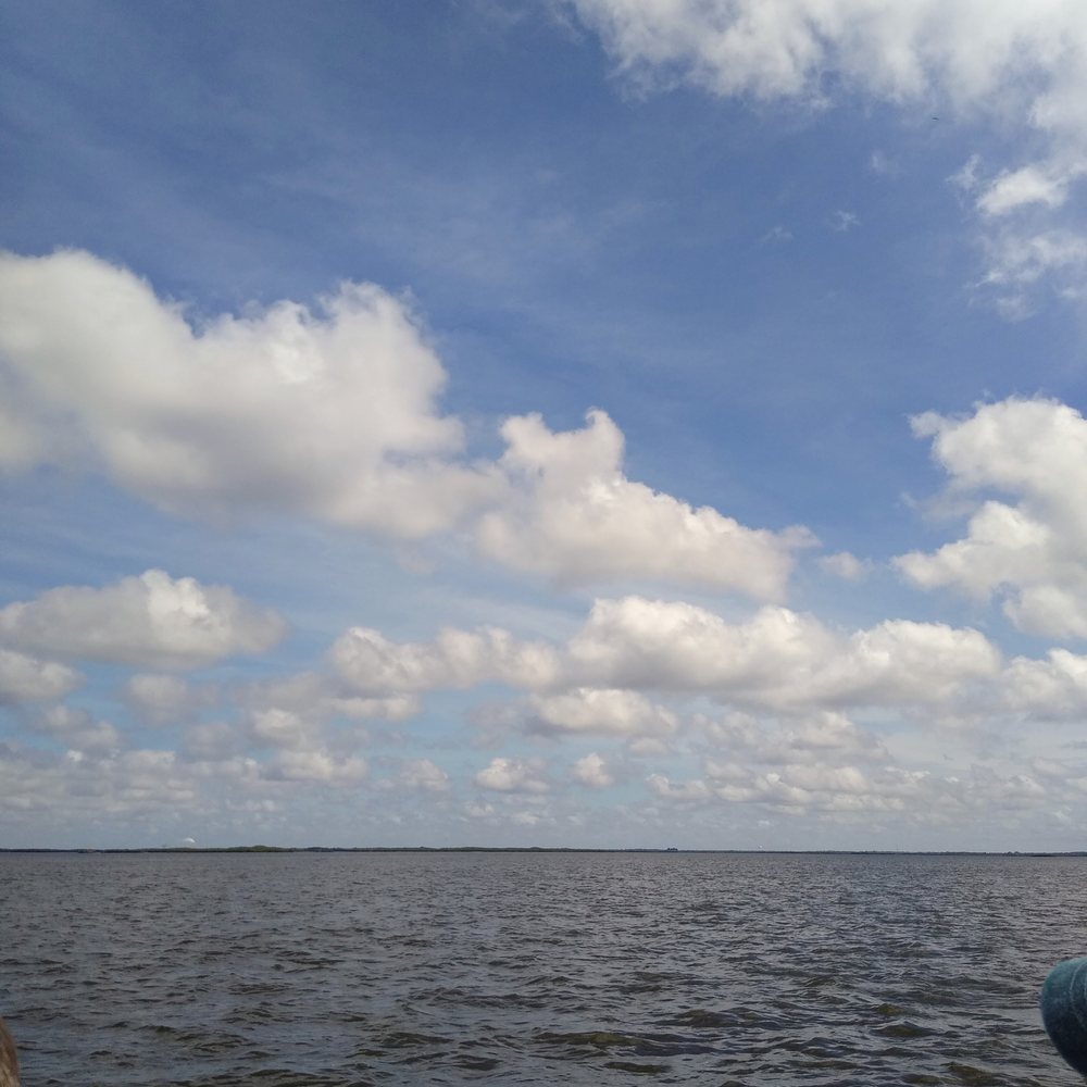 PT Airboat Adventures - Gulf of Mexico - Amusement Parks Near Me PT Airboat Adventures - Gulf of Mexico - Amusement Parks Near Me