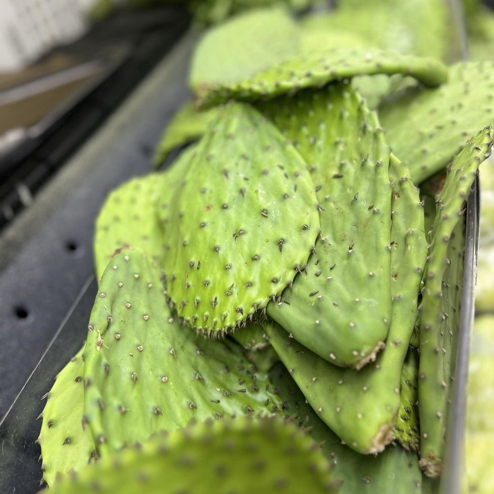 La Plaza Supermarket - Grocery Near Me - Cleveland, Ohio