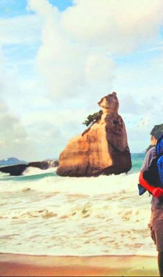 Cathedral Cove Beach by null