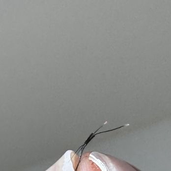 LASH BY KIKI - Eyelash Service Near Me - Honolulu, Hawaii LASH BY KIKI - Eyelash Service Near Me - Honolulu, Hawaii