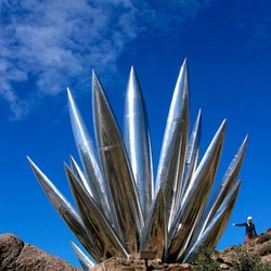 Aluminum Yucca