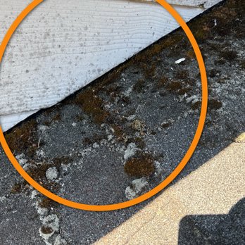 Premier Inspection Services - Moss will get up under your roofing and siding. - Home Inspectors Near Me Premier Inspection Services - Moss will get up under your roofing and siding. - Home Inspectors Near Me